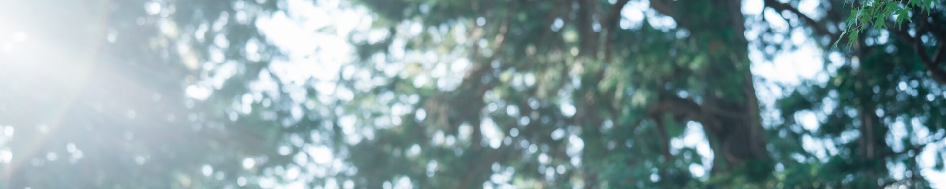 散骨の流れ・全国対応