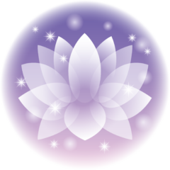 蓮の花